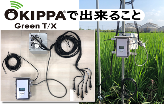 水温・水位の管理 OKIPPA Greenの活用術