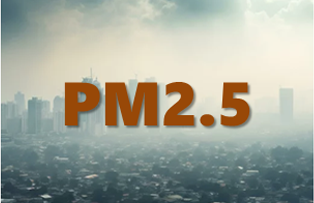 PM2.5 OKKIPA Green