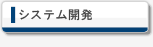 システム開発