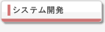 システム開発