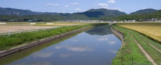 穏やかな河川画像 OKIPPAの活用術① カメラ、水位計援用システム