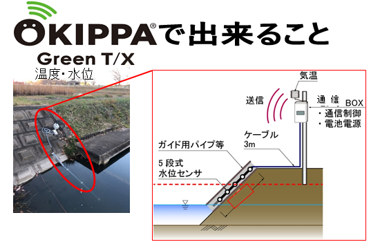 OKIPPA Greenの活用術