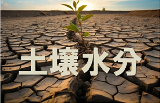 土壌水分センサー OKKIPA Green