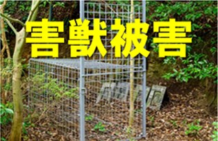 害獣対策 OKKIPA Green