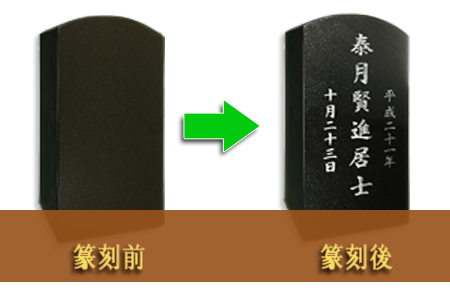 犬、ワンコ